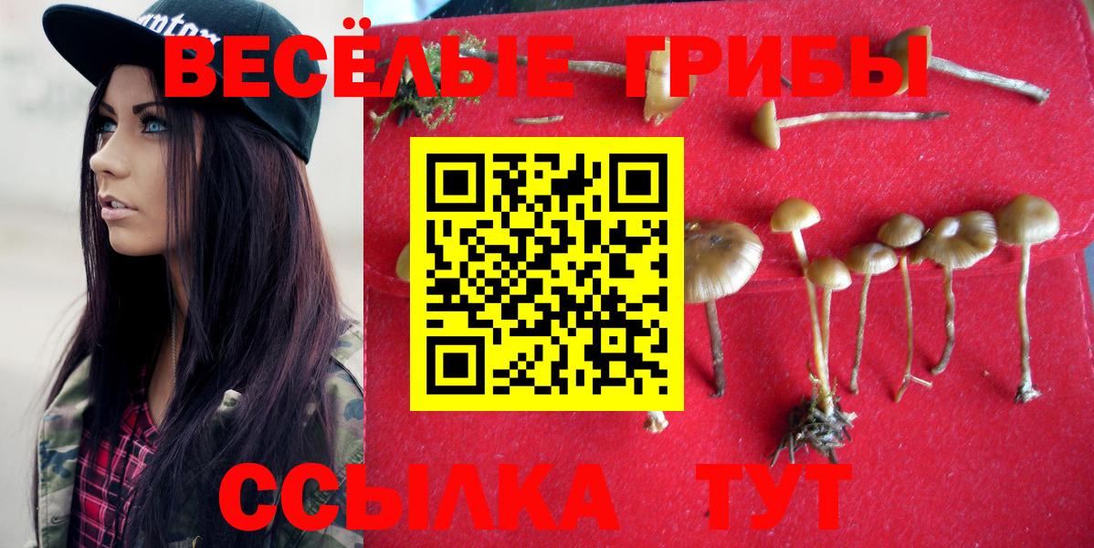 Галлюциногенные грибы мухоморы Югорск